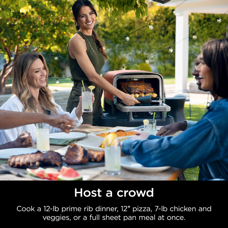 Ninja Woodfire 8-in-1 Outdoor Oven & Reviews | Wayfair